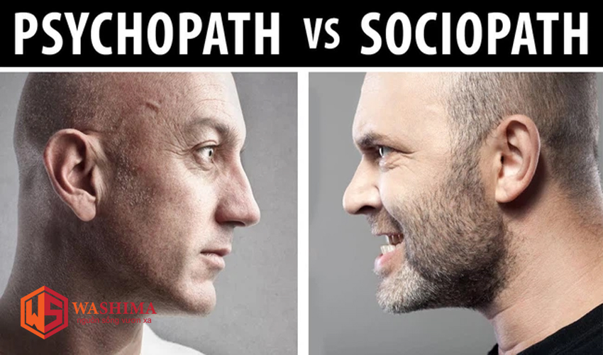 Phân biệt giữa Sociopath và hội chứng Psychopath
