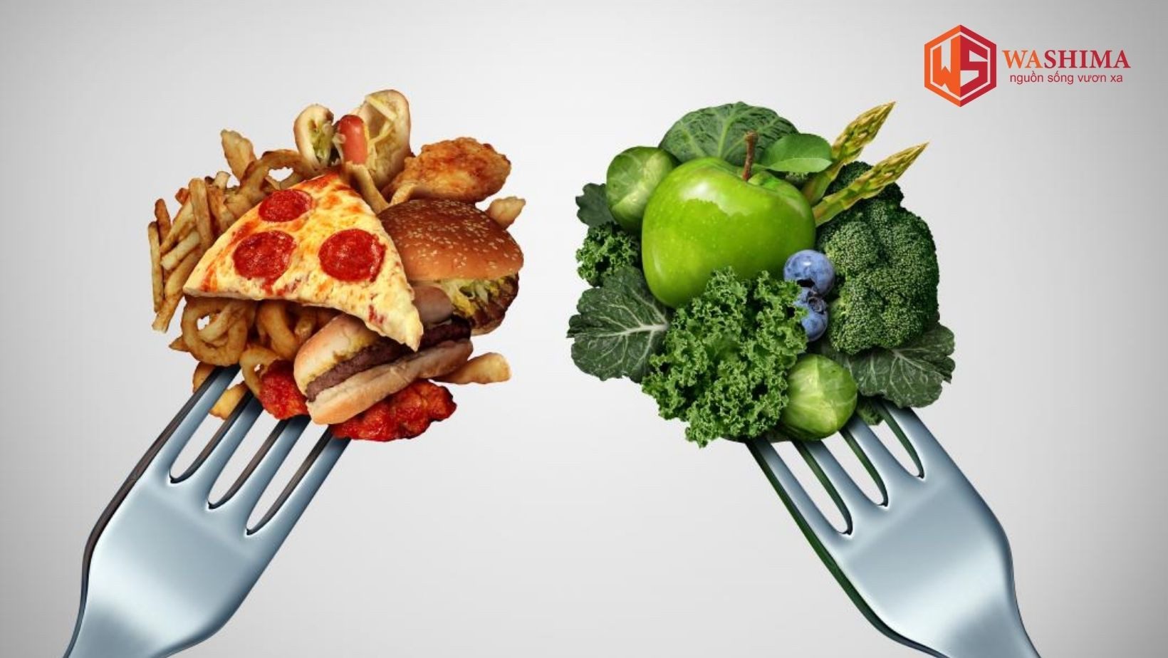 Nguồn thực phẩm cung cấp calorise cho cơ thể