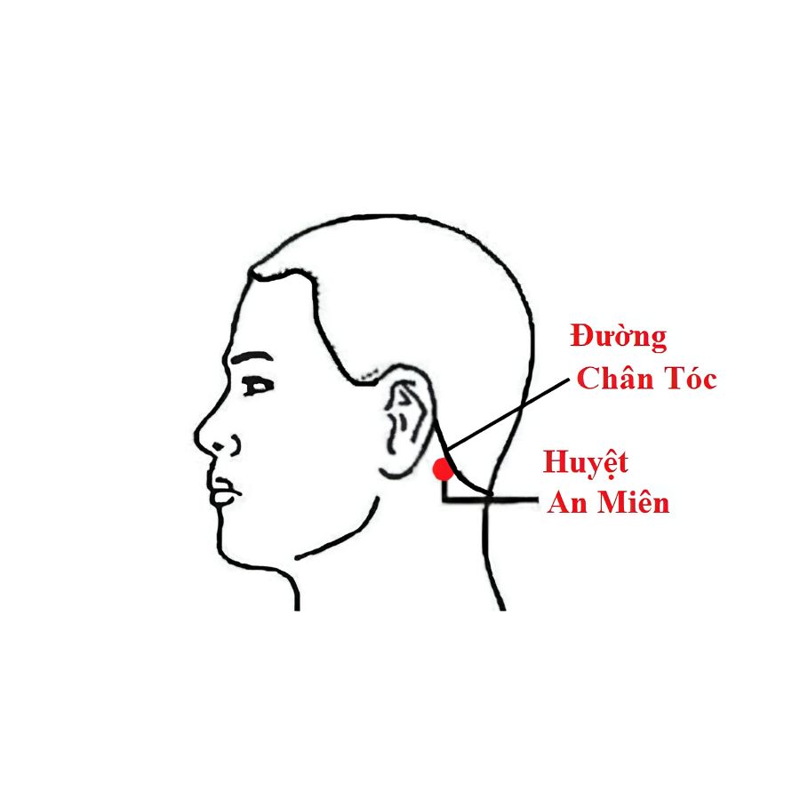 Huyệt An Miên