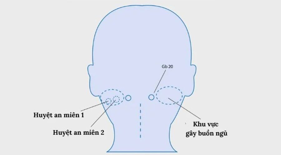 Huyệt An Miên