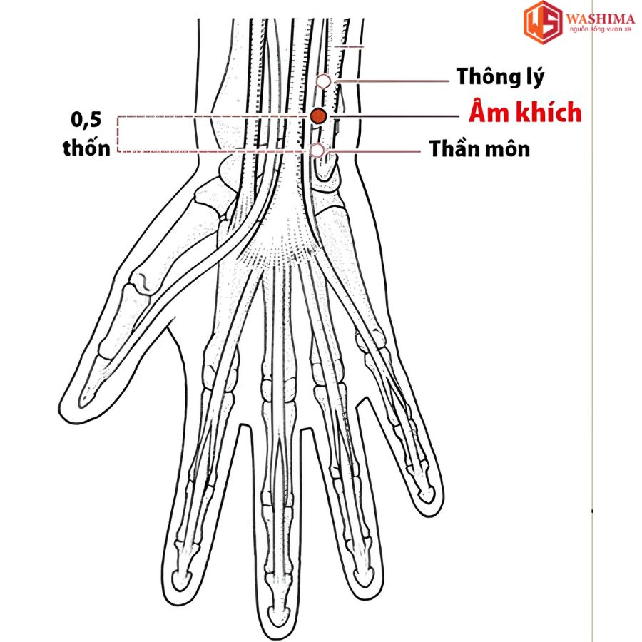 Huyệt Thần Môn