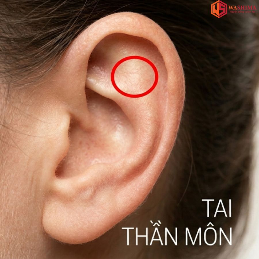 Huyệt Thần Môn