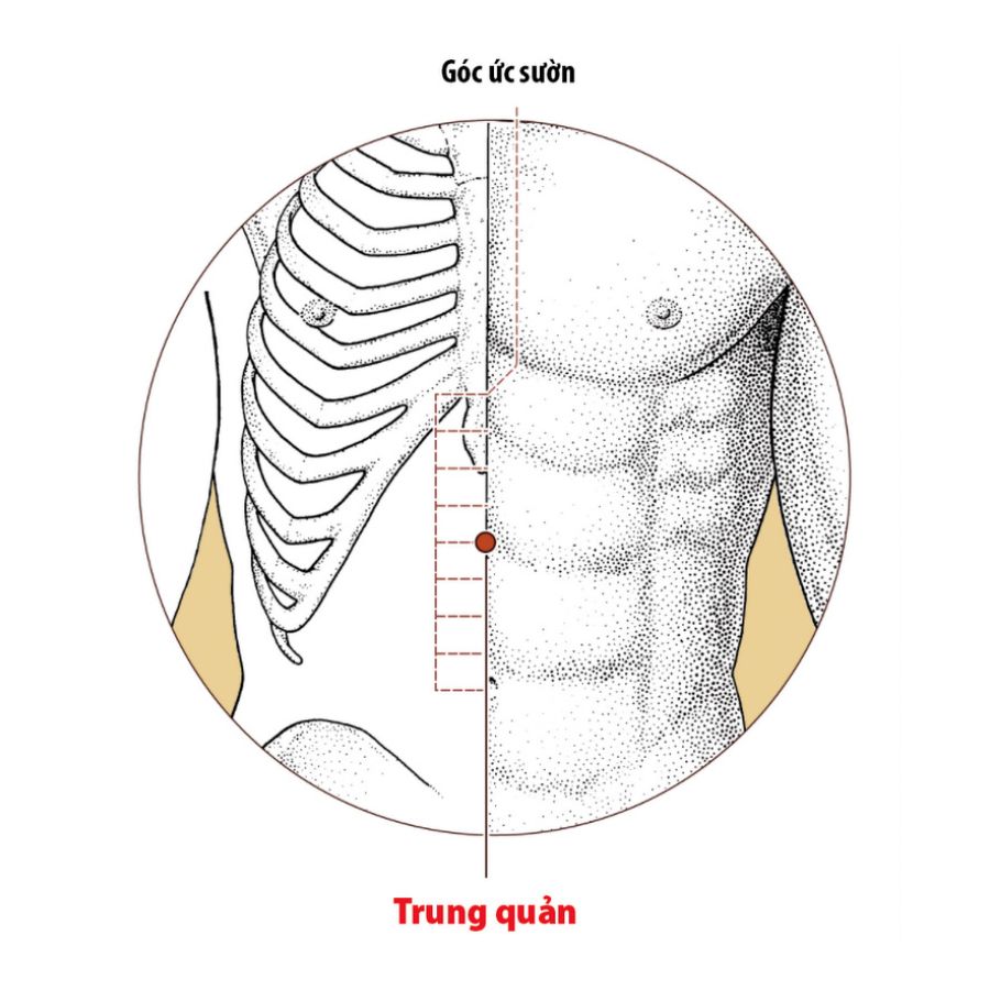 Huyệt Trung Quản