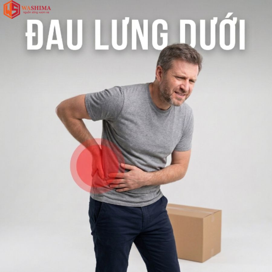 Đau lưng dưới nam là bị gì?
