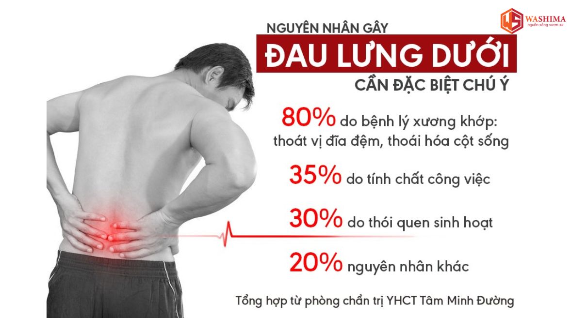 Đau lưng dưới thắt lưng là gì?